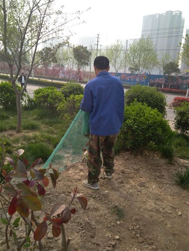 绿化浇水