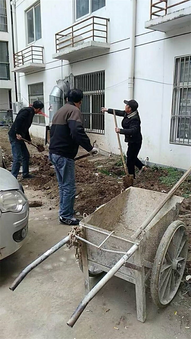 复原23#北边花园种草