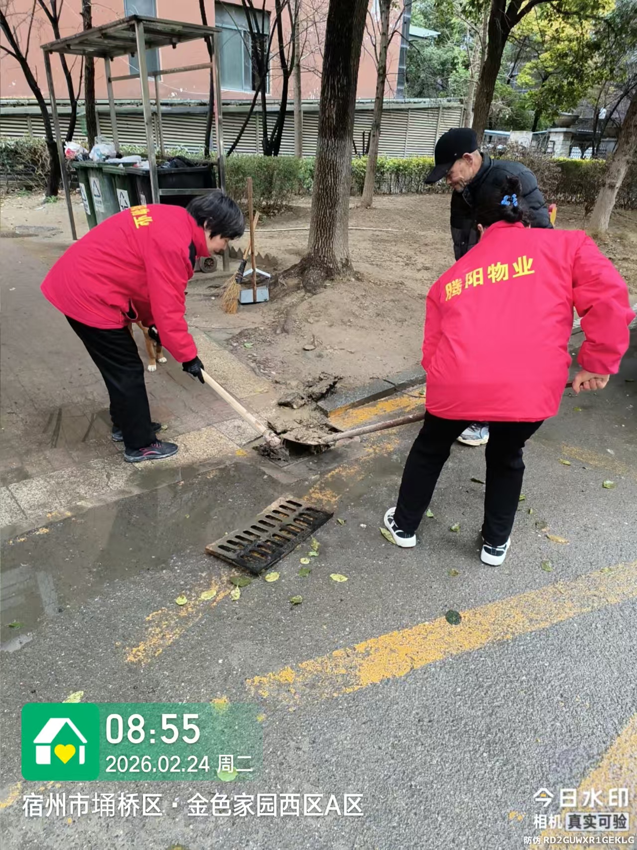 腾阳之窗第5期（总第9期）(图3)